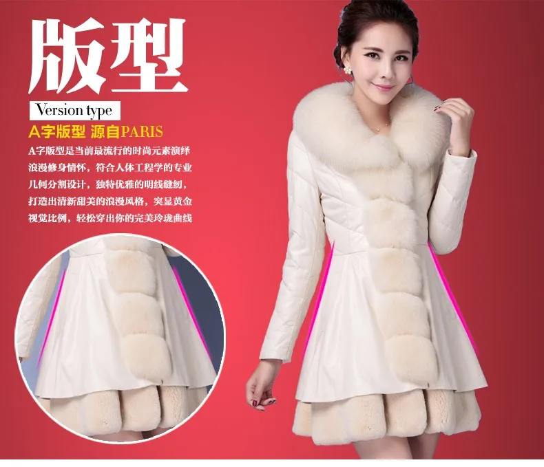 xijie7