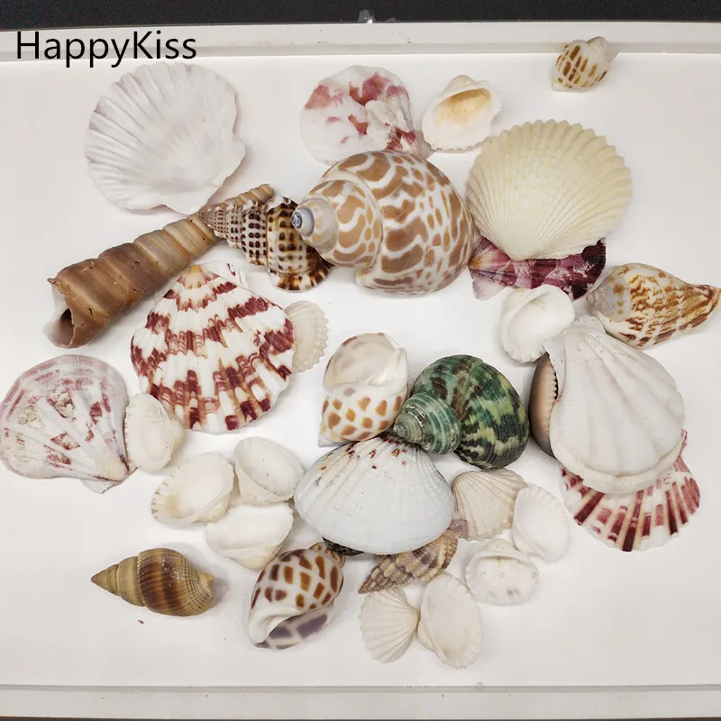 

100g/Bag Mediterranean style DIY Fashion Beach Mixed Seashells Mix Sea Shells Natural Crafts for Aquarium Fish Tank Decor