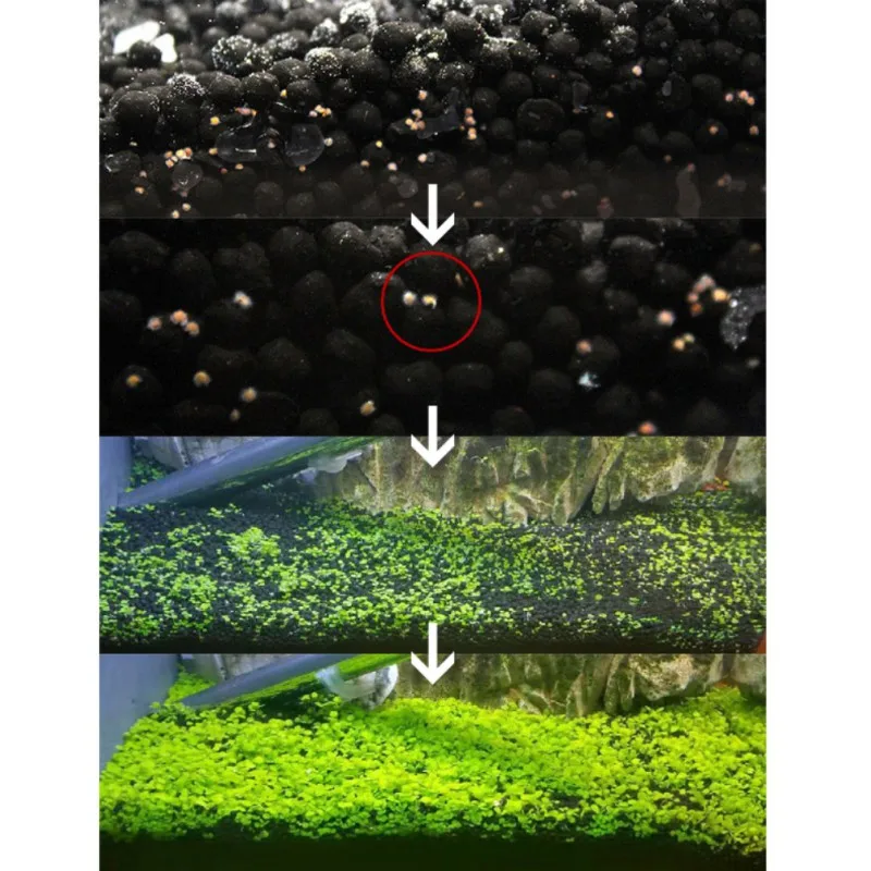 Аквариумный Пейзаж орнамент водная трава живое растение аквариум растение Украшение Декор для аквариума