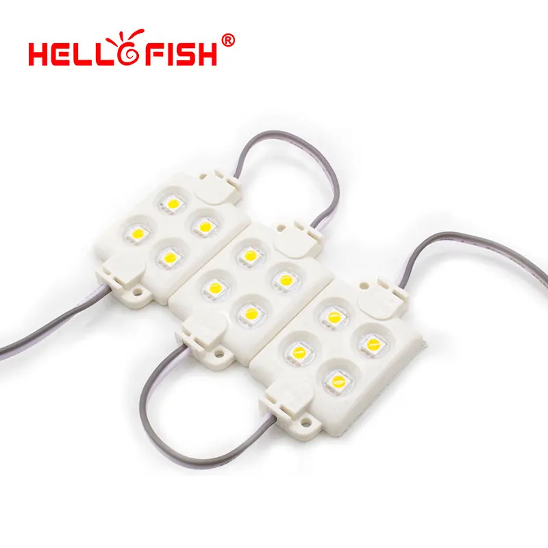 

Hello Fish 20 pcs DC12V 5050 4 LED Modules Filled with Plastic White/Warm White Waterproof IP65 For LED Signs