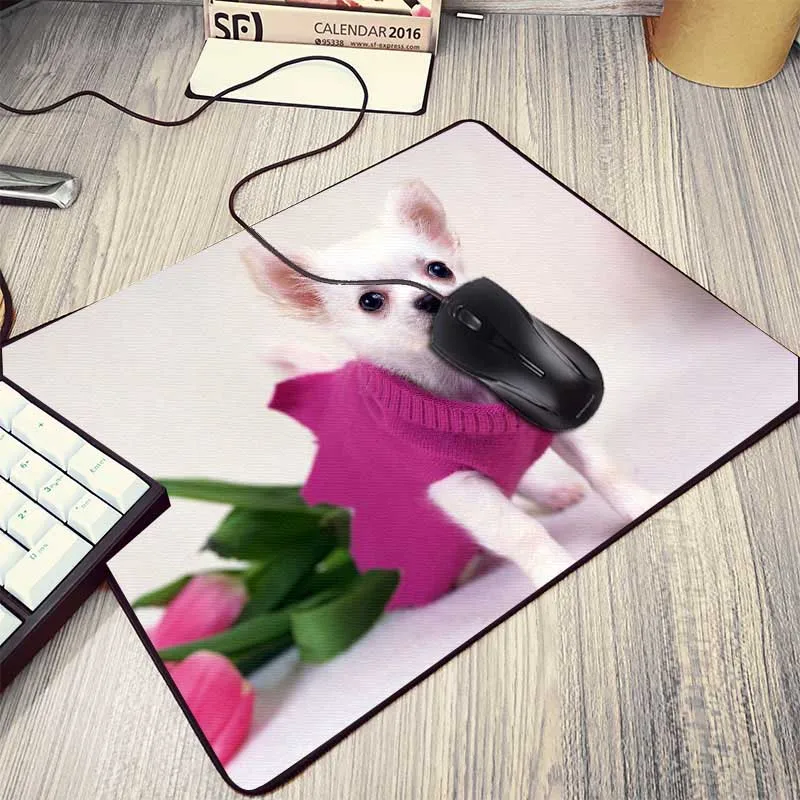 16dogs-thought-lost-dog-widescreen-wallpaper-1920x1080 (9)