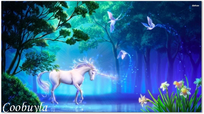 top quality photo prints