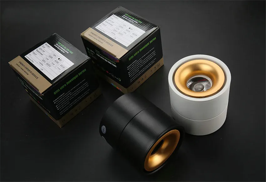 NR-54 Ceiling light  (2)