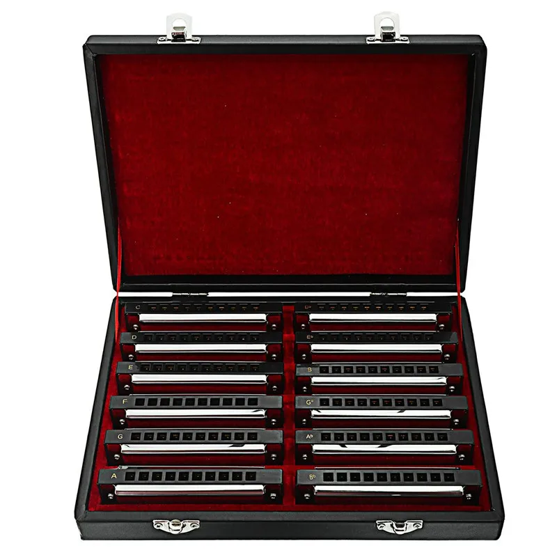 Swan SW1020H 12T High End 10 Holes 20 Tones 12 Keys Harmonicas Set In