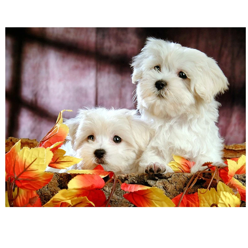 

100% Full 5D Diy Daimond Painting "Two Dogs" 3D Diamond Painting Round Rhinestones Diamant Painting Embroidery cute Animal Decor