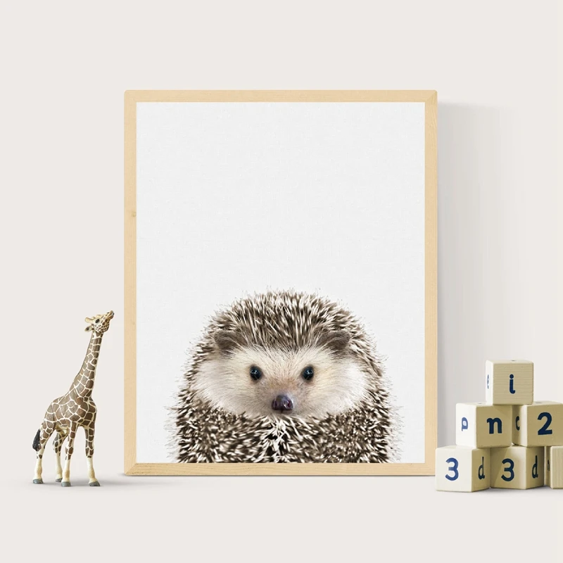 Hedgehog Baby Animal Prints and Poster , Modern Animal Photography Canvas Painting Nursery Wall Art Decor