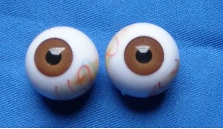 1 пара 1:1 ЖИЗНЬ размеры искусственный глаз модель глазного яблока натуральный учебные инструменты и оборудование спецодежда медицинская