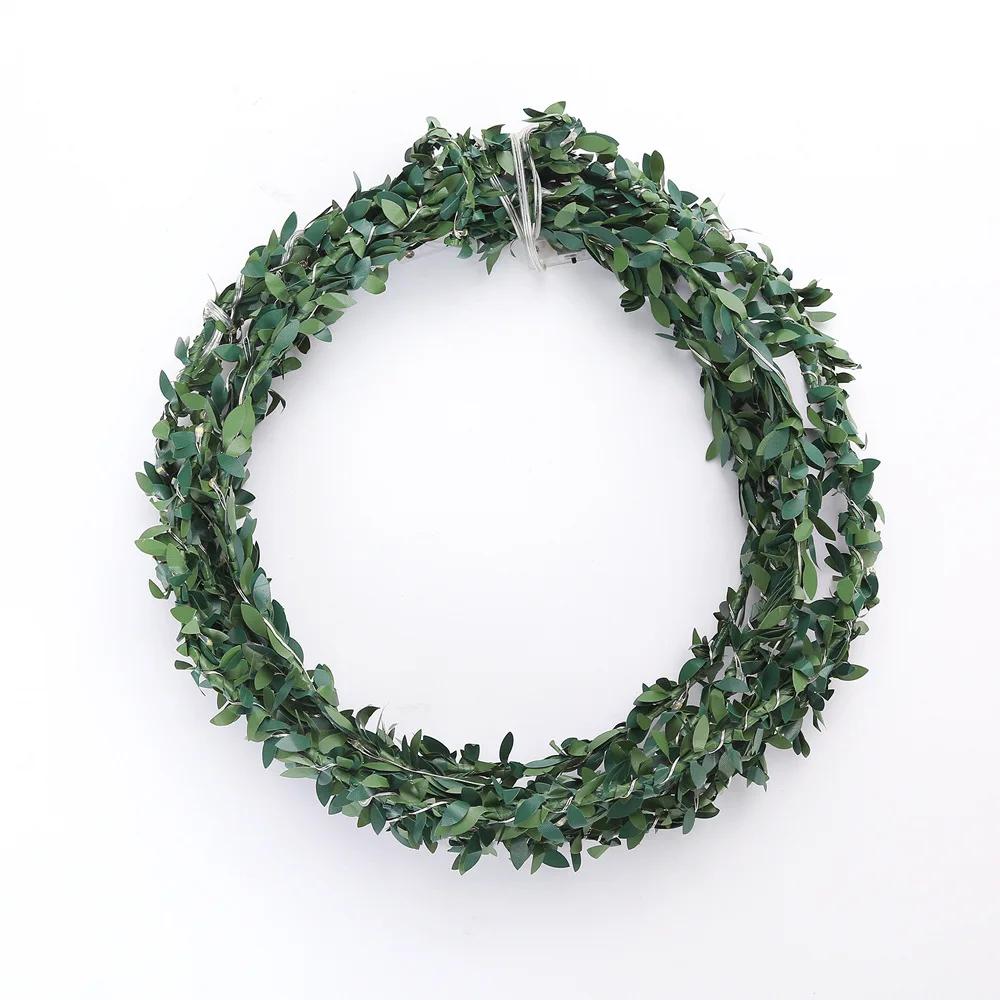 

2M 20 Head LED Copper Wire Lighting Around Green Rattan Christmas Home Garden Indoor Outdoor Decorative Light String