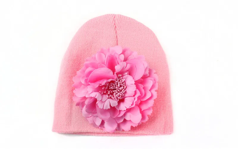 3629686141_1341571138
