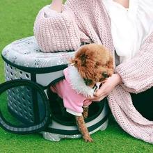 Горячая Распродажа! Складная мягкая переноска животных EVA щенок собака кошка на открытом воздухе Дорожная сумка на плечо для маленьких собак домашних животных собачья переноска 3 цвета