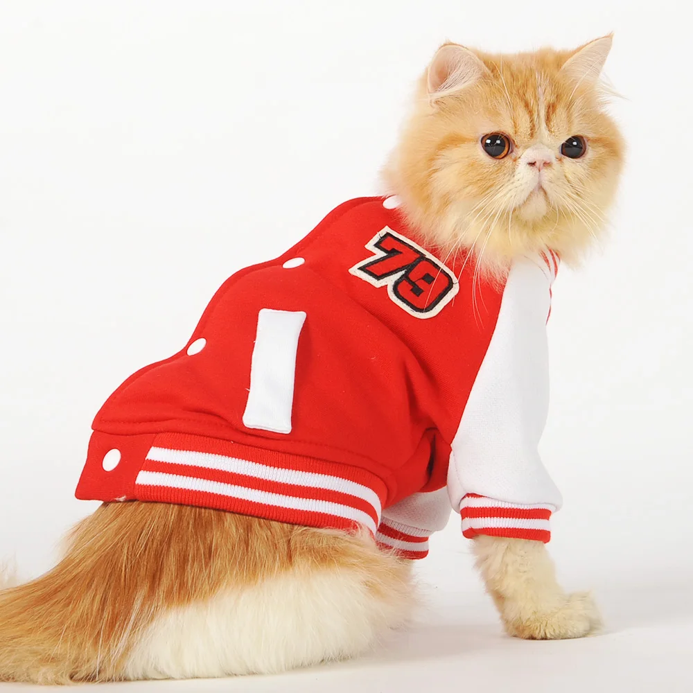 корзинки для котов. корм magazin для кошек. интернет магазин кошек. прима кэт корм для кошек. летняя одежда для котов.