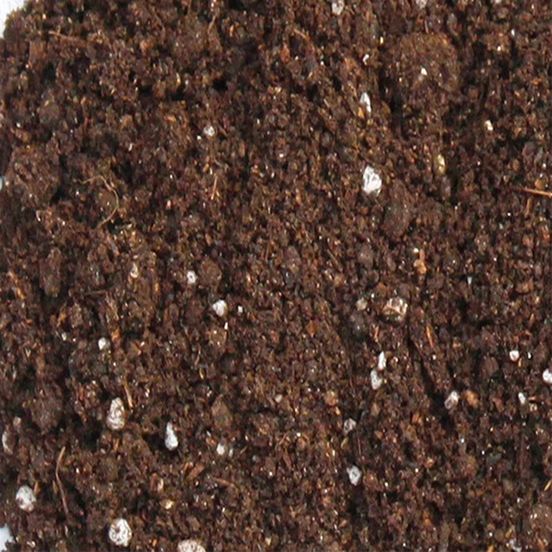 3309174000_1690235813