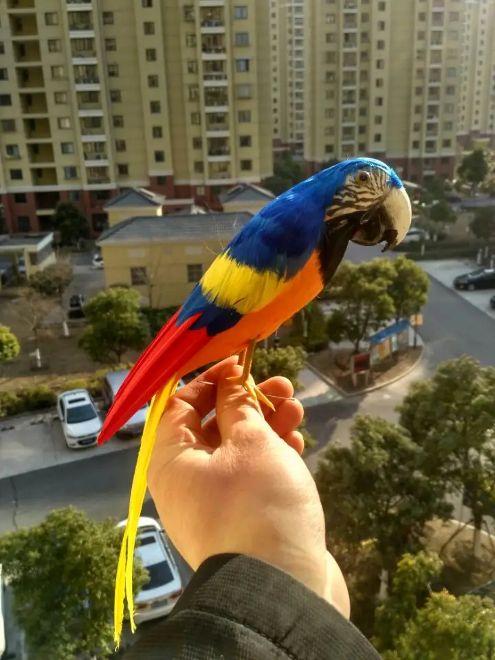 Новый Моделирование синий и orange попугай модель пены и перья попугай птица около 30 см