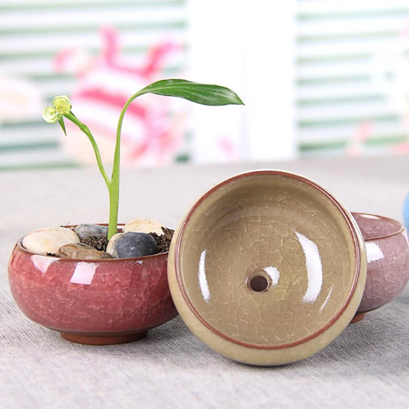 MINIPOT 2