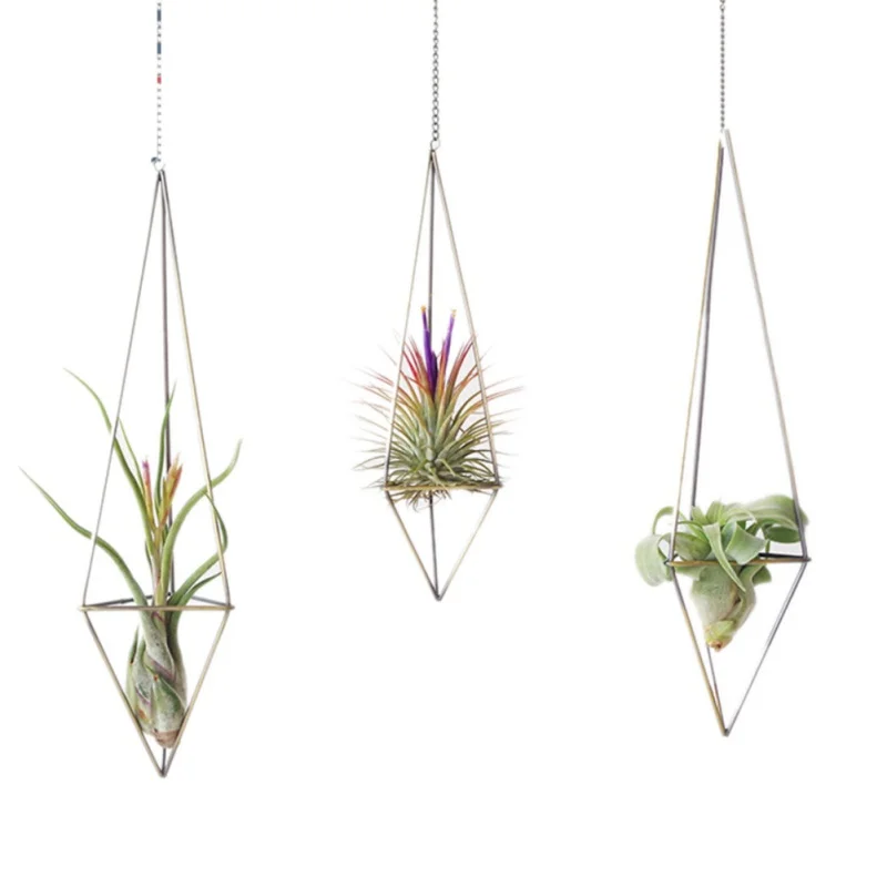 

Hanging Tillandsia Air Plants Rack Metal Geometric Iron Art Rustic Flower Planter Pot Plants Rack For Home Garden Decoration