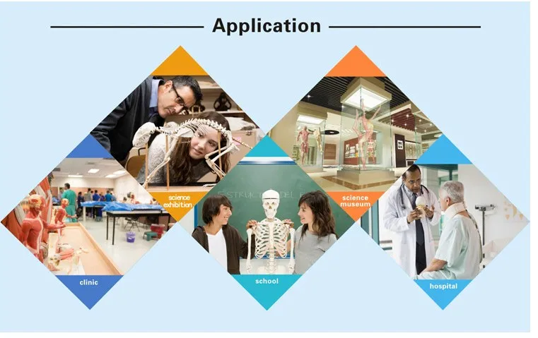 Labs Junior Science магнитный Набор для экспериментов оборудование физика лаборатория научное обучение тест-Генератор инструмент компас магниты