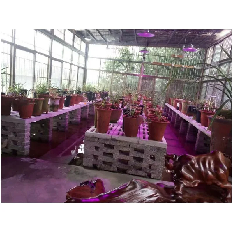 JTFL220 (13)light for plants