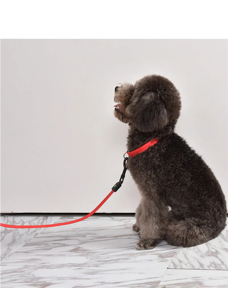 Безопасность светодиодной вспышкой собачий поводок нейлоновый поводок для собаки светодиодные светящиеся собачий ошейник для щенка