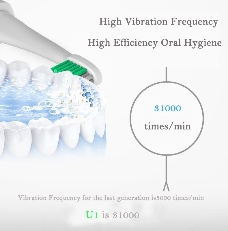 LANSUNG Ultrasonic Sonic Electric Toothbrush USB Charge Rechargeable Tooth Brushes With 4 Pcs Replacement Heads Timer Brush LANSUNG Ultrasonic Sonic Electric Toothbrush USB Charge Rechargeable Tooth Brushes With 4 Pcs Replacement Heads Timer Brush