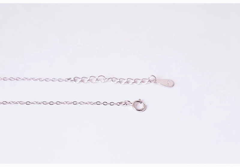 9076846536_896826829