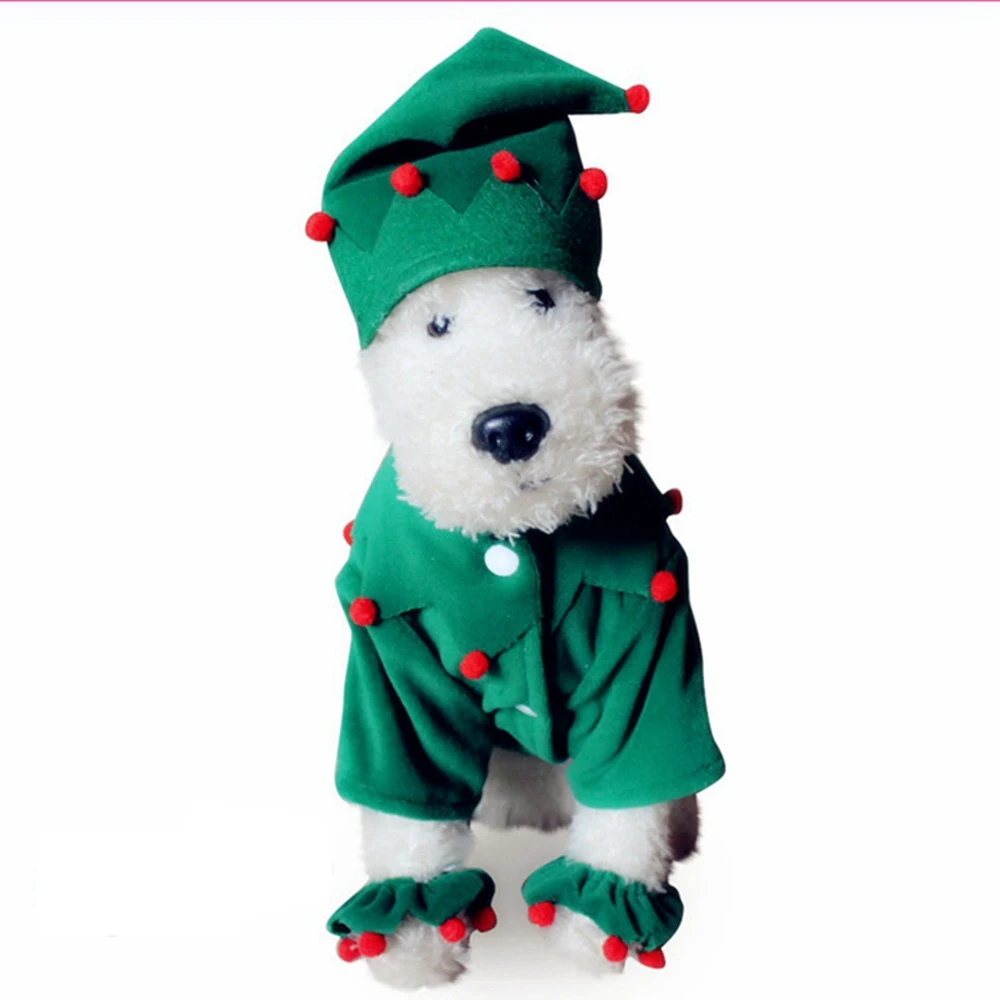 dog in elf costume