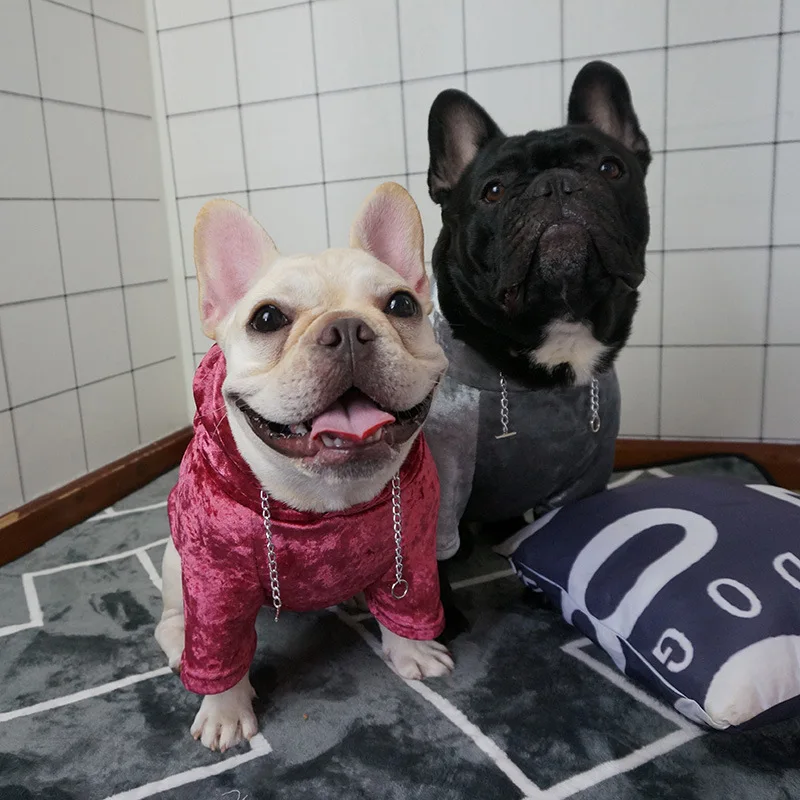 Новинка, одежда для маленьких собак с французским бульдогом, куртка с капюшоном для собак, чихуахуа, мопса, теплое уплотненное пальто, модный костюм для домашних животных