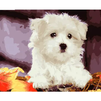 

WEEN White cute puppy-Painting by numbers,Modular canvas pictures for living room,DIY paint by numbers for kids&adults 40x50cm