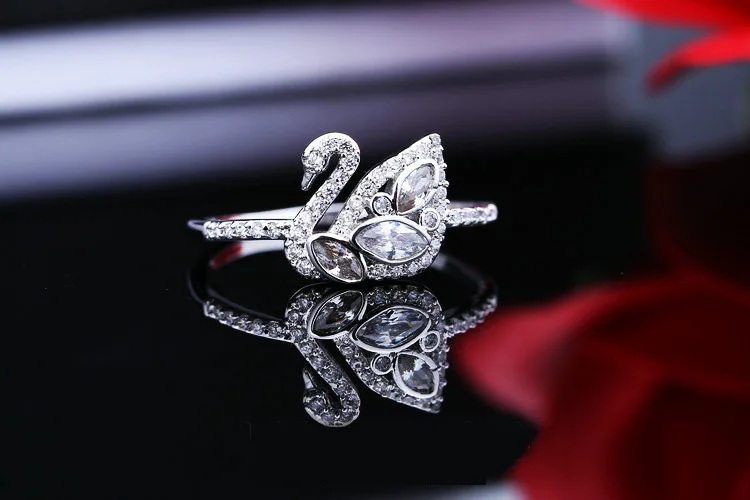 4260502915_2134633890