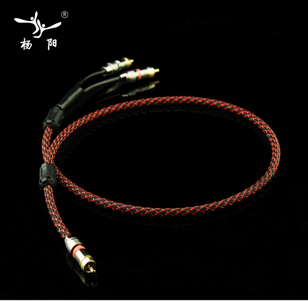 RCA2RCA_02