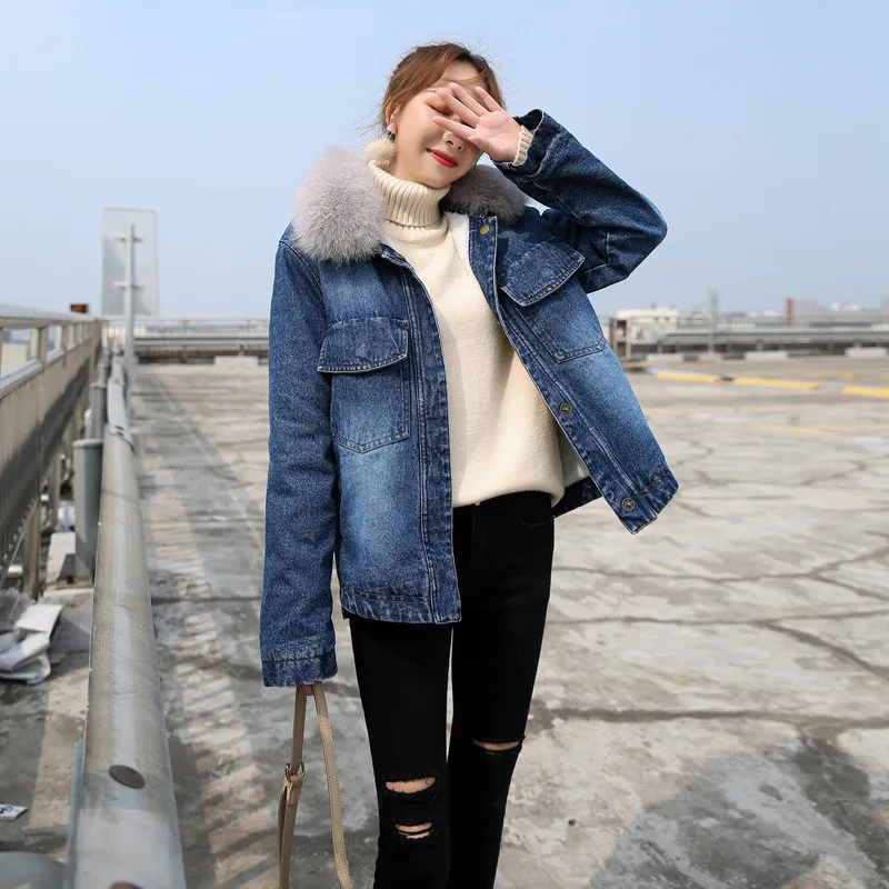 KK2585 (3)