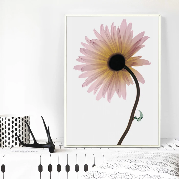 TB2ST5Gc88lpuFjSspaXXXJKpXa_!!1903564081