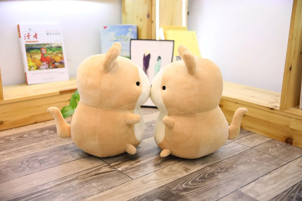 9037038765_526651954