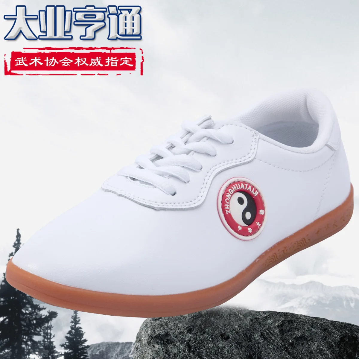 

big industry prosper Tai Chi shoes soft cowhide leather shoes Dichotomanthes end male Wushu Taijiquan male Kungfu shoes