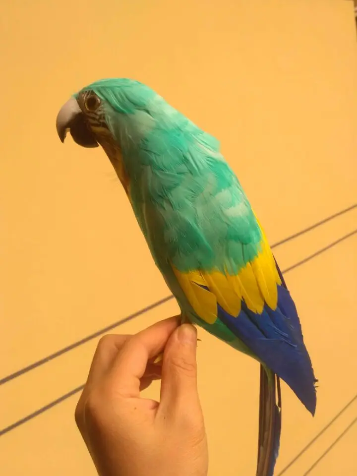 1 - 