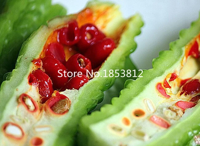 Sale 15 Asian Rare Bitter Melon Seeds Vegetable Seeds 5pcs Pack Species Bonsai Seeds Non Gmo Free Shipping Seed Set Seed Barleyseed Bead Jewelry Pattern Aliexpress