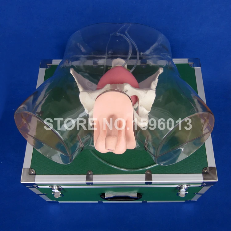 Transparent Male Catheterization Model,Urinary Catheterization Training Simulator Transparent Male Catheterization Model,Urinary Catheterization Training Simulator