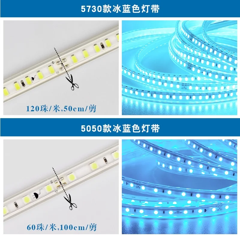 1000m Pack, Outdoor 220V LED Flexible Neon Stripe of Ocean Blue with 5730 Beads / 100m per Spool / 3 Years Warranty