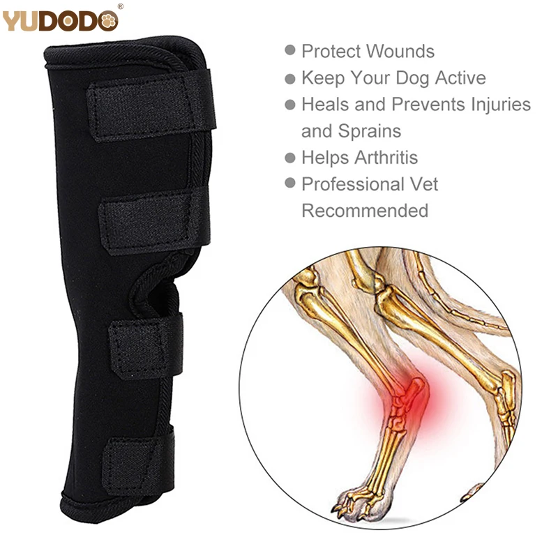Pet Knee Pads Dog Hock Brace Recover Breathable Dog Support Safety