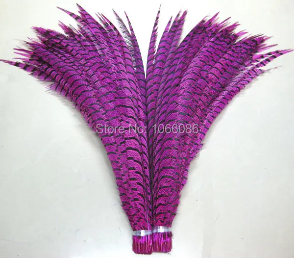 

EMS free shipping 80pcs 30-35inch 80-90cm Hot Pink / Fushcia dyed pheasant tail feather,Lady amherst side tails,pheasant feather