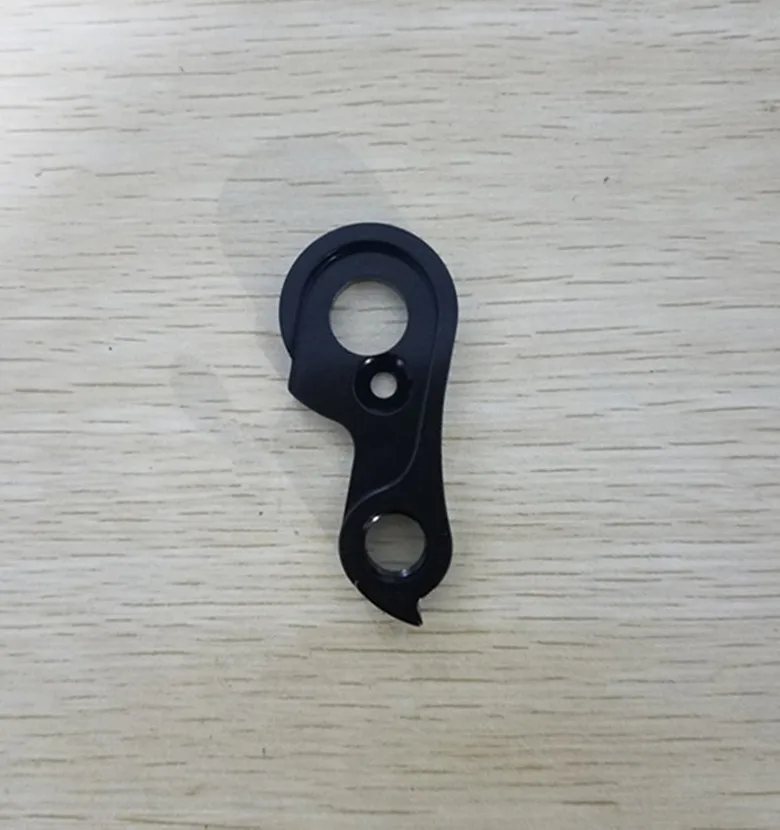 

Repaceable axle through dropout hanger
