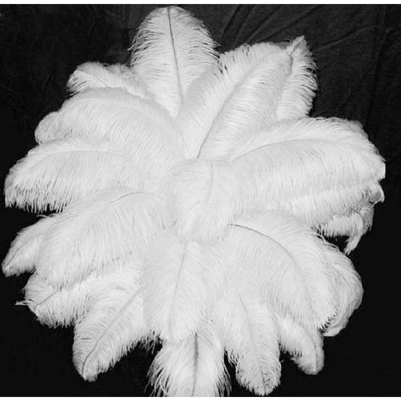 10pcs-1358-Natural-Ostrich-Feather-White_3_800x800