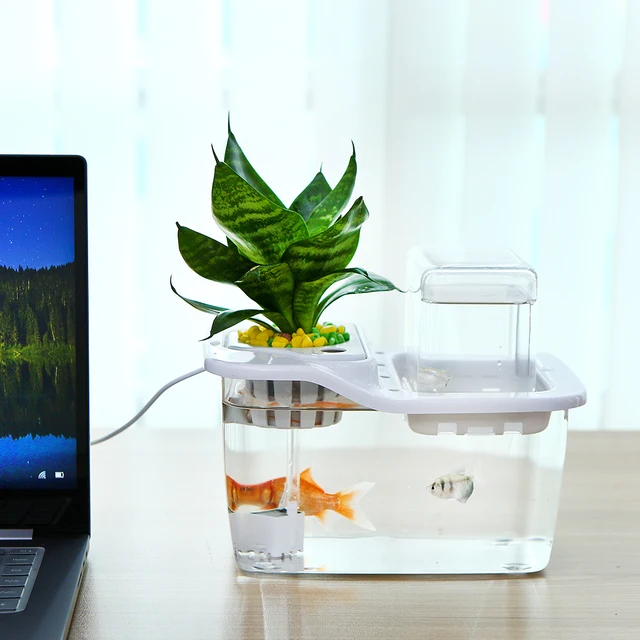Mini Ecosystem Hydroponics Fish Tank Water Garden Ecological Fish Tank