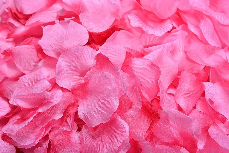 2382-20-10pcs-light rose red-