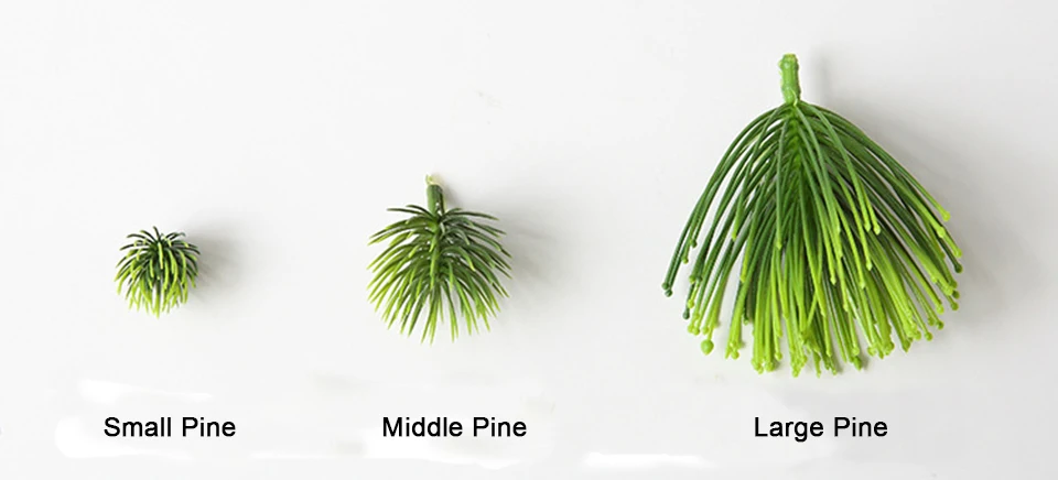 5plants 4