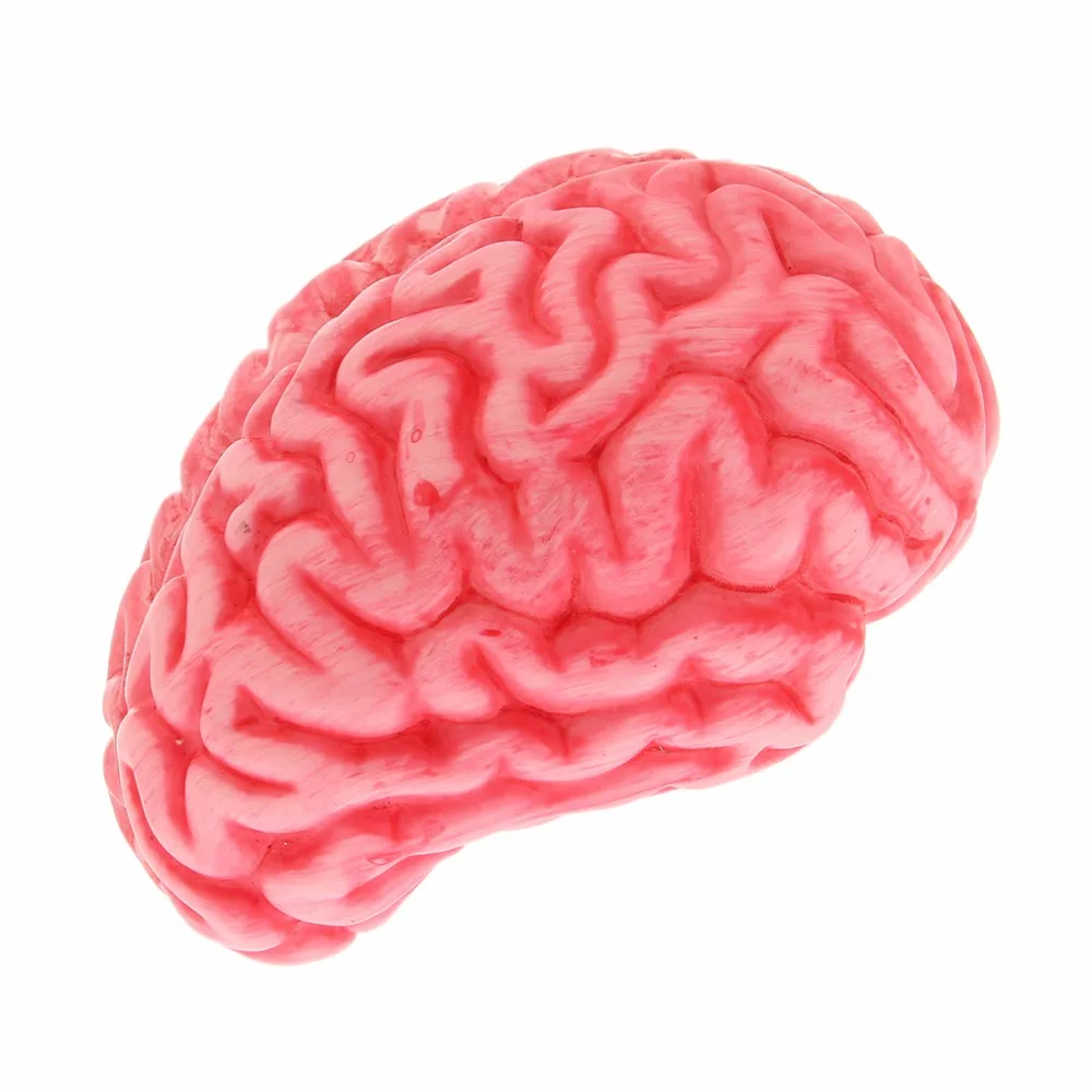 Halloween Decoration Simulated Horror Fake Human Plasma Brain Plastic