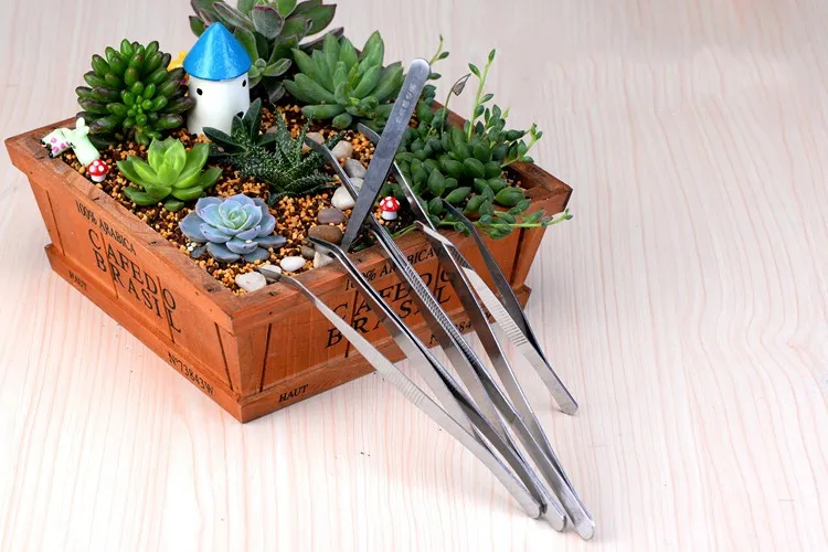 1916580064_393786582