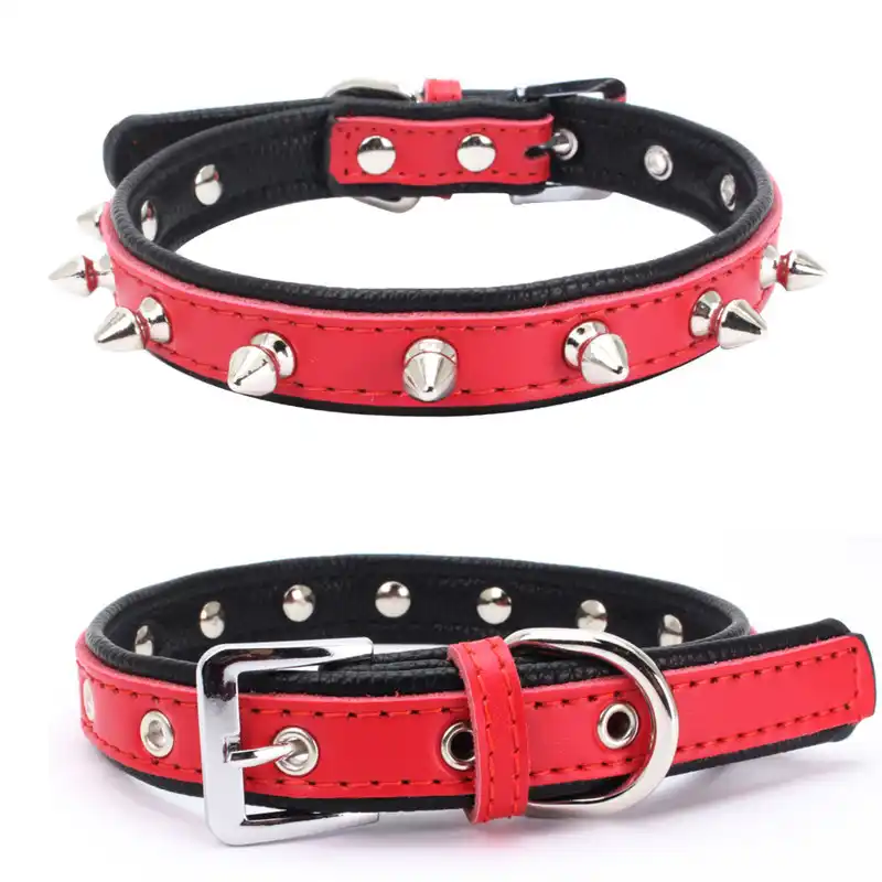 best dog accessories 2018