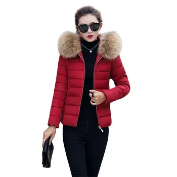 

Winter Short parkas for women Down cotton jacket Plus size 6XL Thicken Cotton jacket female Big fur collar Hooded student coats