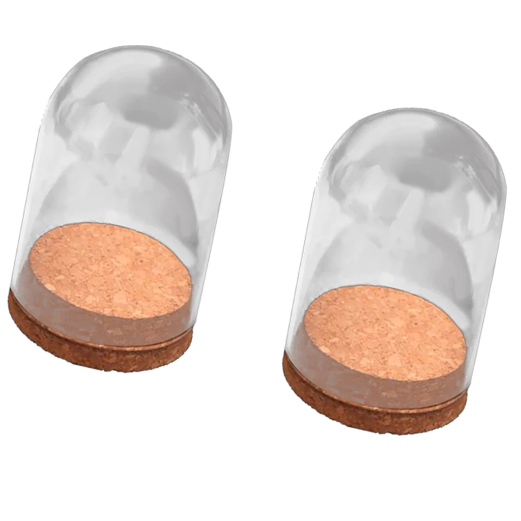 4Pcs-set Dome Clear Glas Wooden Cork Base Shade Cover Shield Shelf Display Home Decorations