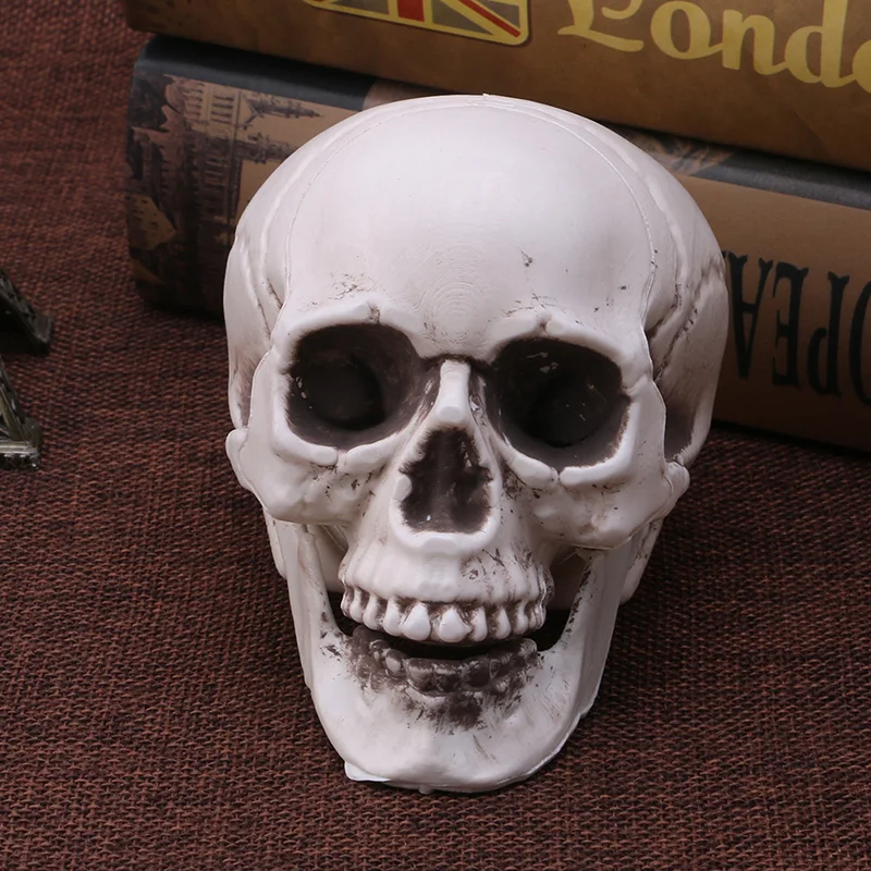 10X mini human skull head decor skeleton coffee bars home ornament teach toy HK 